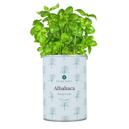 Aromatische kweeksets Kistpakket Planeta Huerto