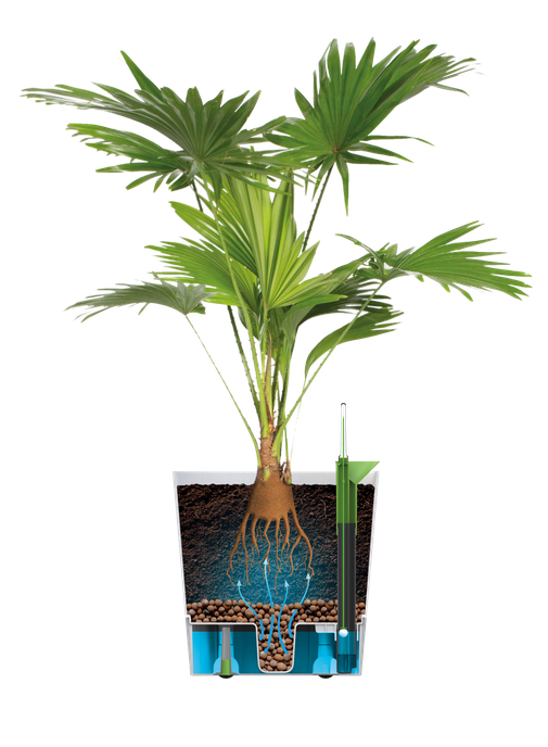 Bloempot met zelfbewatering Greensense Aquacare Square Elho 30 cm charcoal grey
