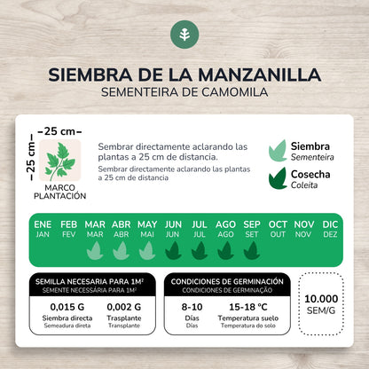 Semi di camomilla biologica Planeta Huerto