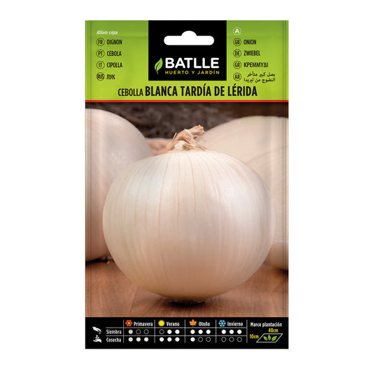 Graines d'oignon tardif de Lérida Batlle