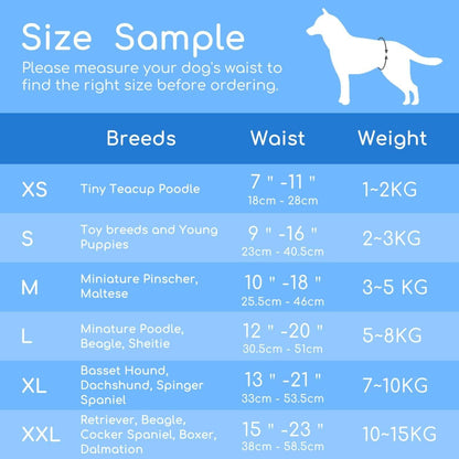 Pañales para perro Hembra S Nobleza 12 ud