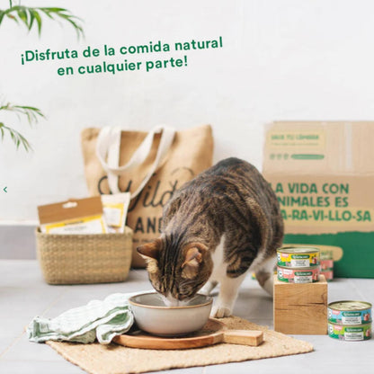 6x pack of traditional beef and chicken ragout for cats 6 x 80 g + Free gift: Reusable lid for tins, Wild Balance