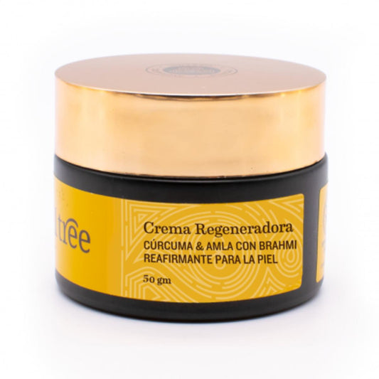 Crème visage régénérante anti-rides  au curcuma, amla et bhrami Soultree 50 g