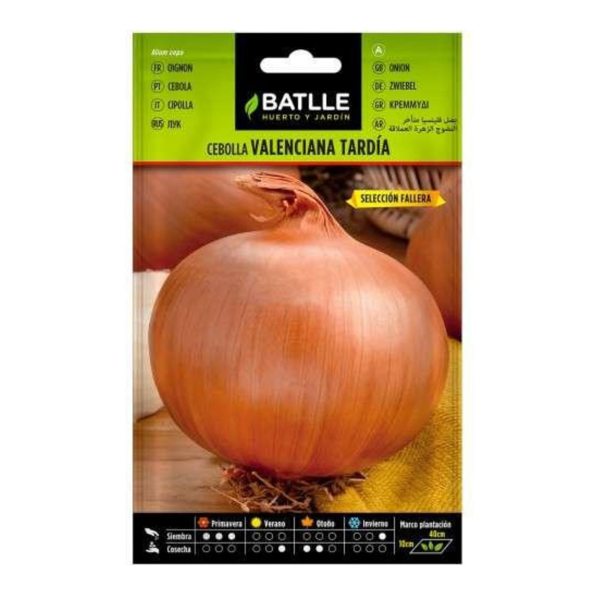 Graines d'oignon tardif de Valence sel. Fallera Batlle