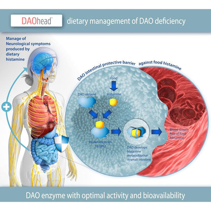 DAOhead® 60 kapslar med magsyreresistenta tabletter