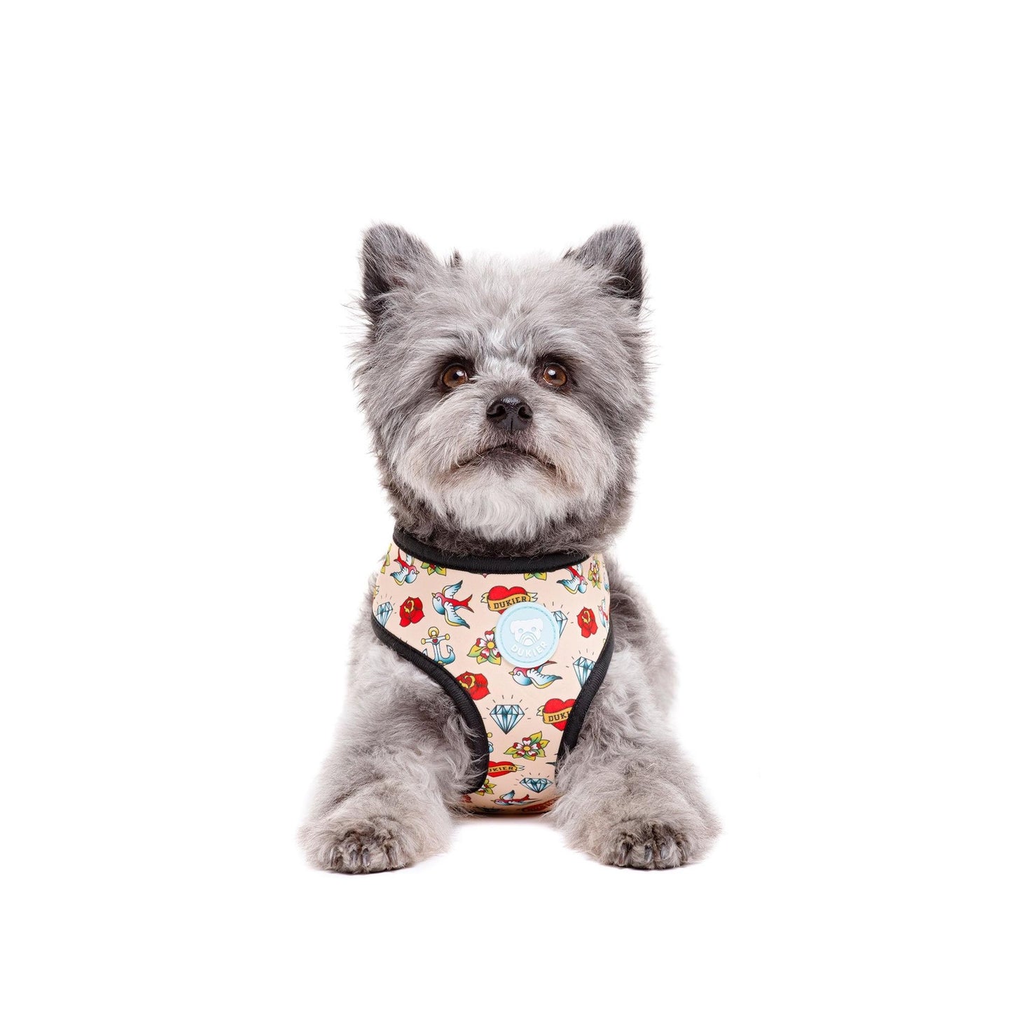 Arnés reversible para perro TATTOO Dukier XL