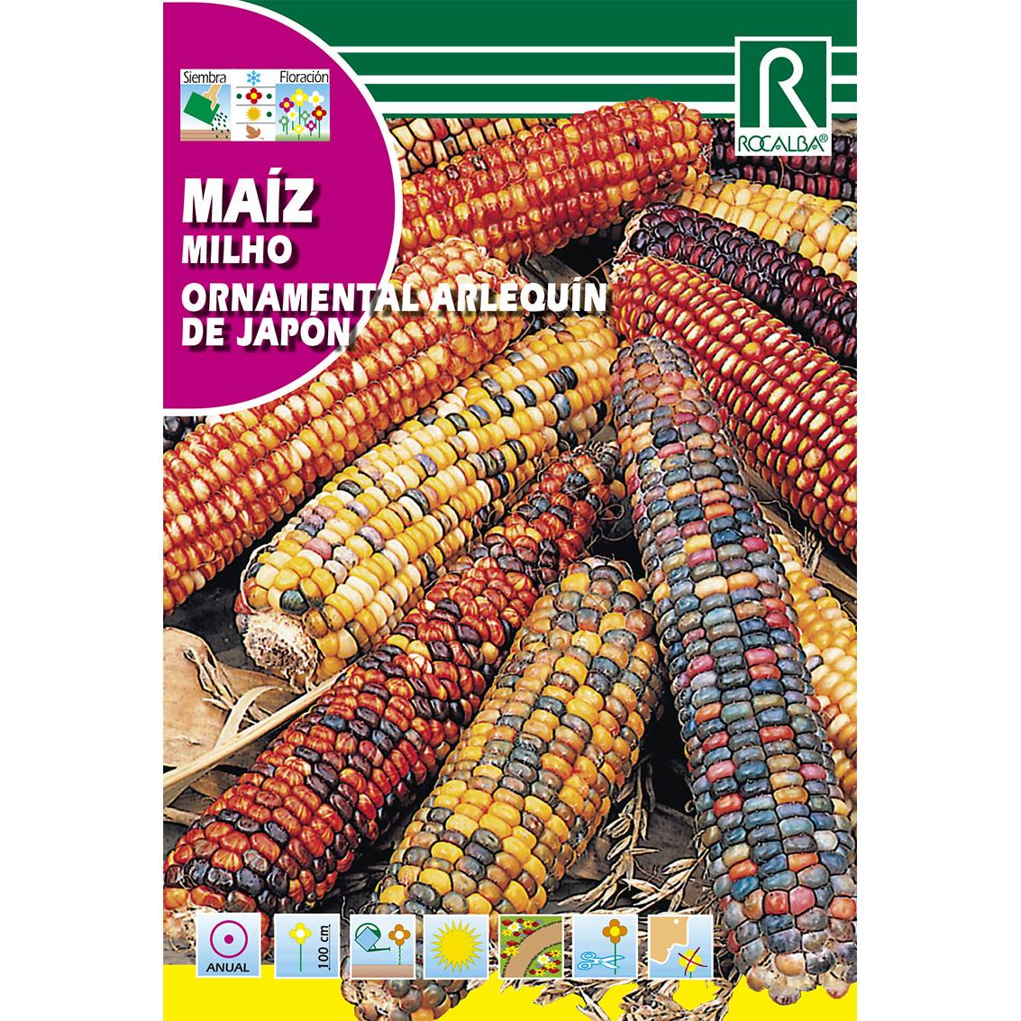 Japanska harlekin-prydnadsmajsfrön