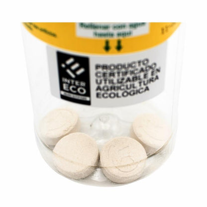 2er-Pack Lockstoff-Set für Frucht- und Olivenfliegen Ceratinex