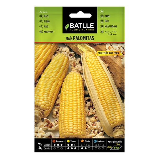 Ziarna kukurydzy do popcornu Pop Corn Batlle