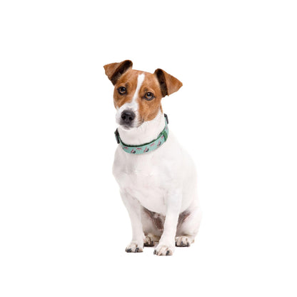 Hundehalsband Leopard Dukier XS