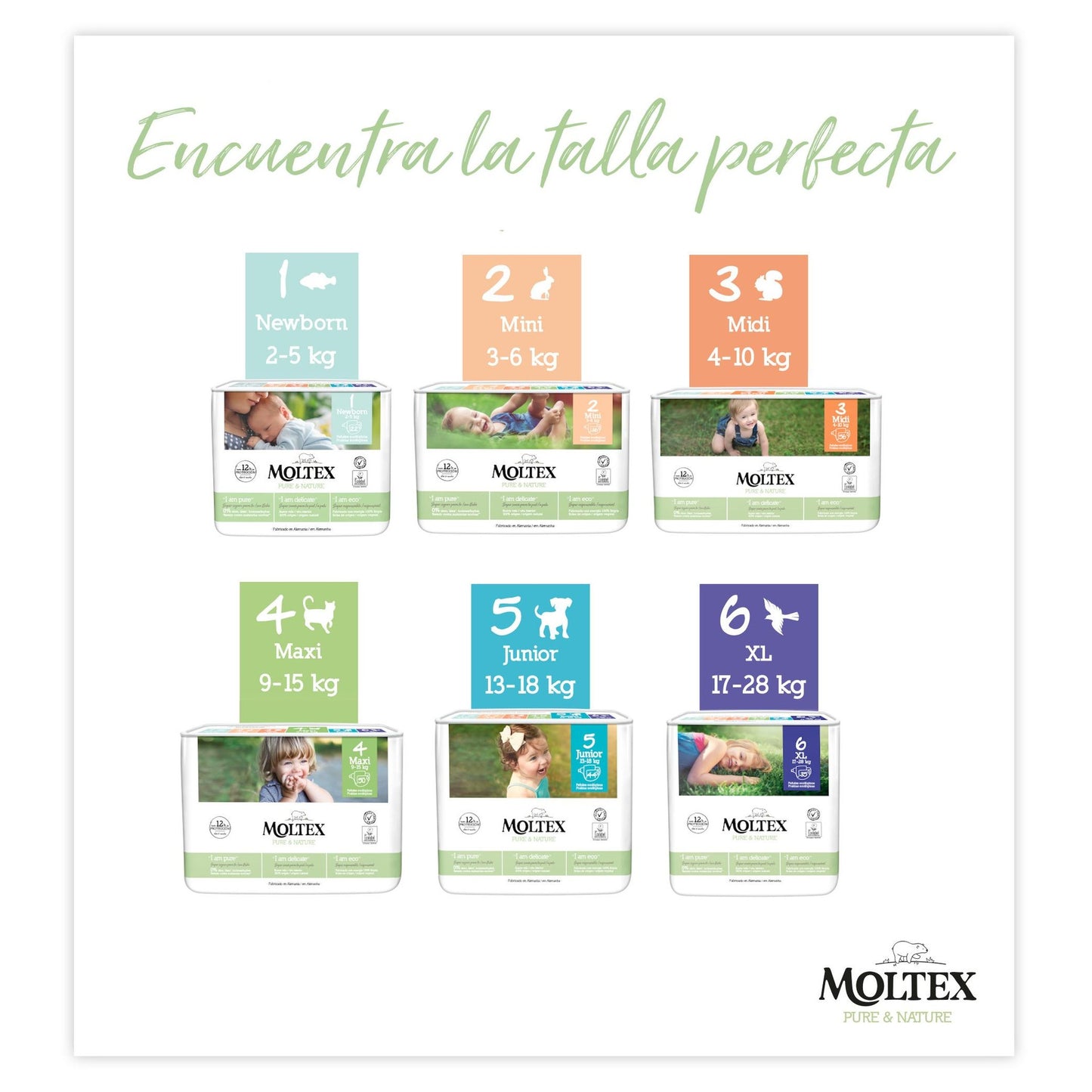 Pack économique de couches T2 (3-6 kg) Moltex Pure & Nature, 144 unités
