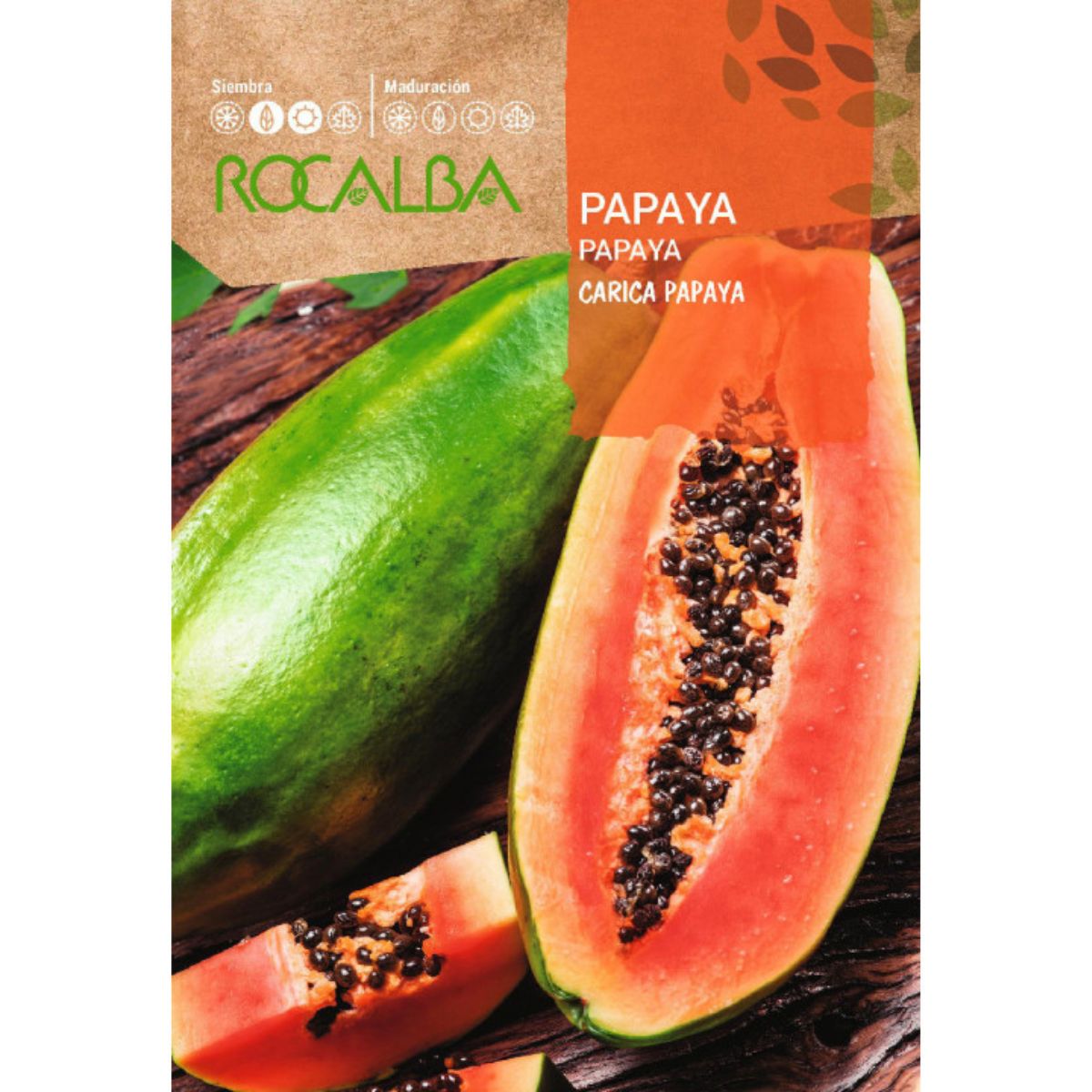 Nasiona papai Carica papaya
