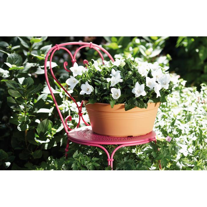 Rund skål Green Basics Elho Antracita 33 cm