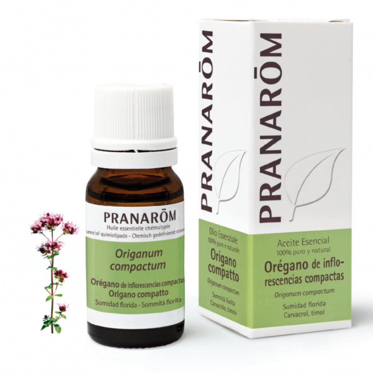 Ätherisches Öl aus Oregano-Blütenständen, Pranarôm 10 ml
