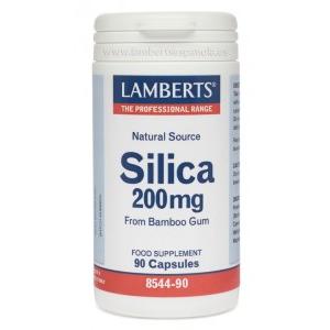 Silicio 90 capsule Lamberts 200 mg