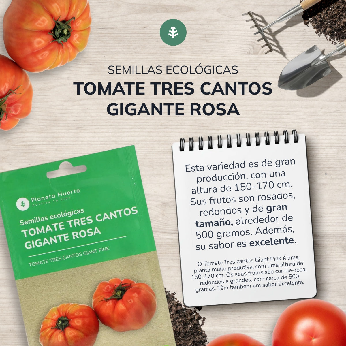 Semences biologiques de Tomate rose géante tres cantos Planeta Huerto