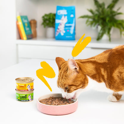 Natvoer voor katten in saus met stukjes kalkoen en kip Edgard & Cooper 85 g