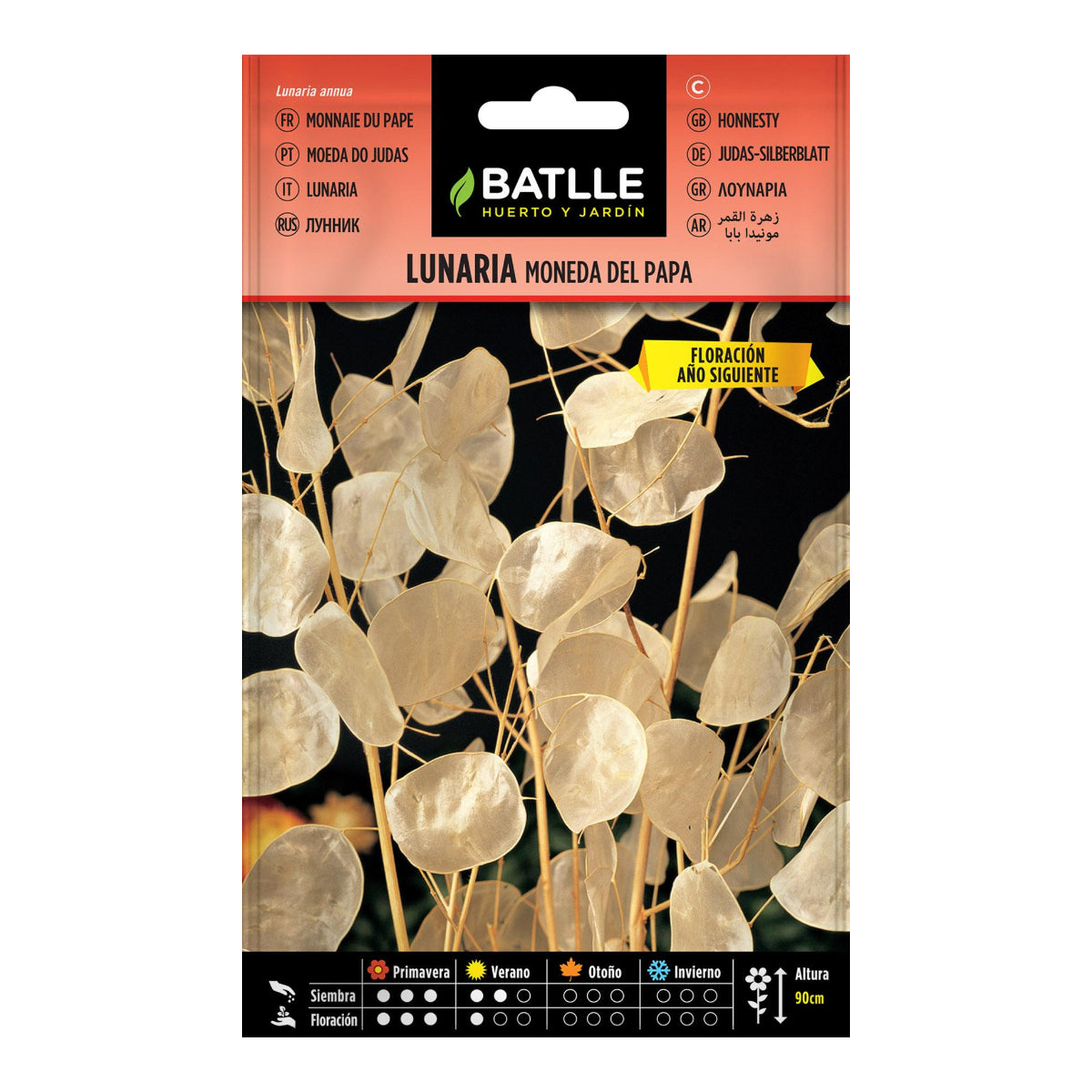 Nasiona Lunaria moneda del Papa Batlle