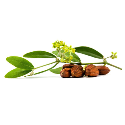 Nachtcrème Q10 Basis Sensitiv Lavera 50 ml