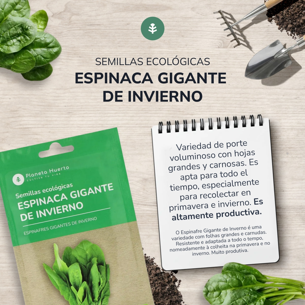 Semi di spinaci invernali giganti biologici Planeta Huerto