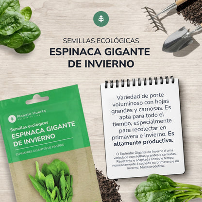 Semi di spinaci invernali giganti biologici Planeta Huerto