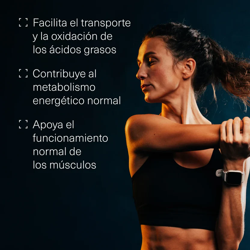 L Carnitine 2000 mg Aldous Bio 200 tabletten