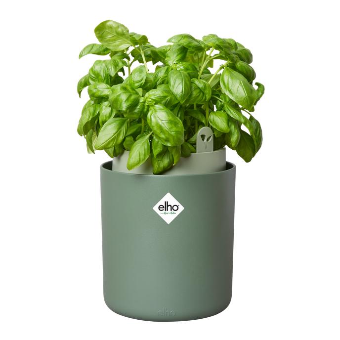 Vaso con sistema di autoirrigazione per piante aromatiche Bouncy Basil Elho Verde
