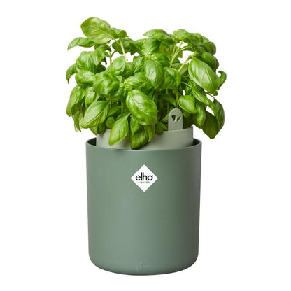 Vaso con sistema di autoirrigazione per piante aromatiche Bouncy Basil Elho Verde