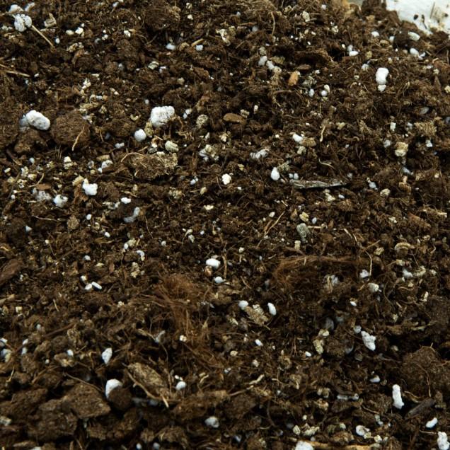 Universal-Substrat für Fleischfresser 1 l