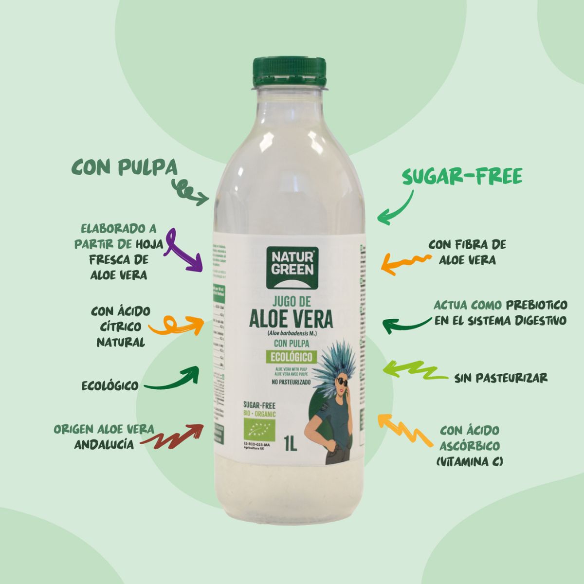 Succo di aloe vera con agave, limone e zenzero NaturGreen 1 L