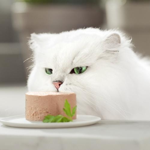 Opakowanie 24 x GOURMET GOLD Mousse Mokra karma Wołowina 85 g