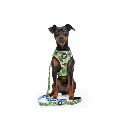 Harnais réversible pour chien CAMO Dukier L