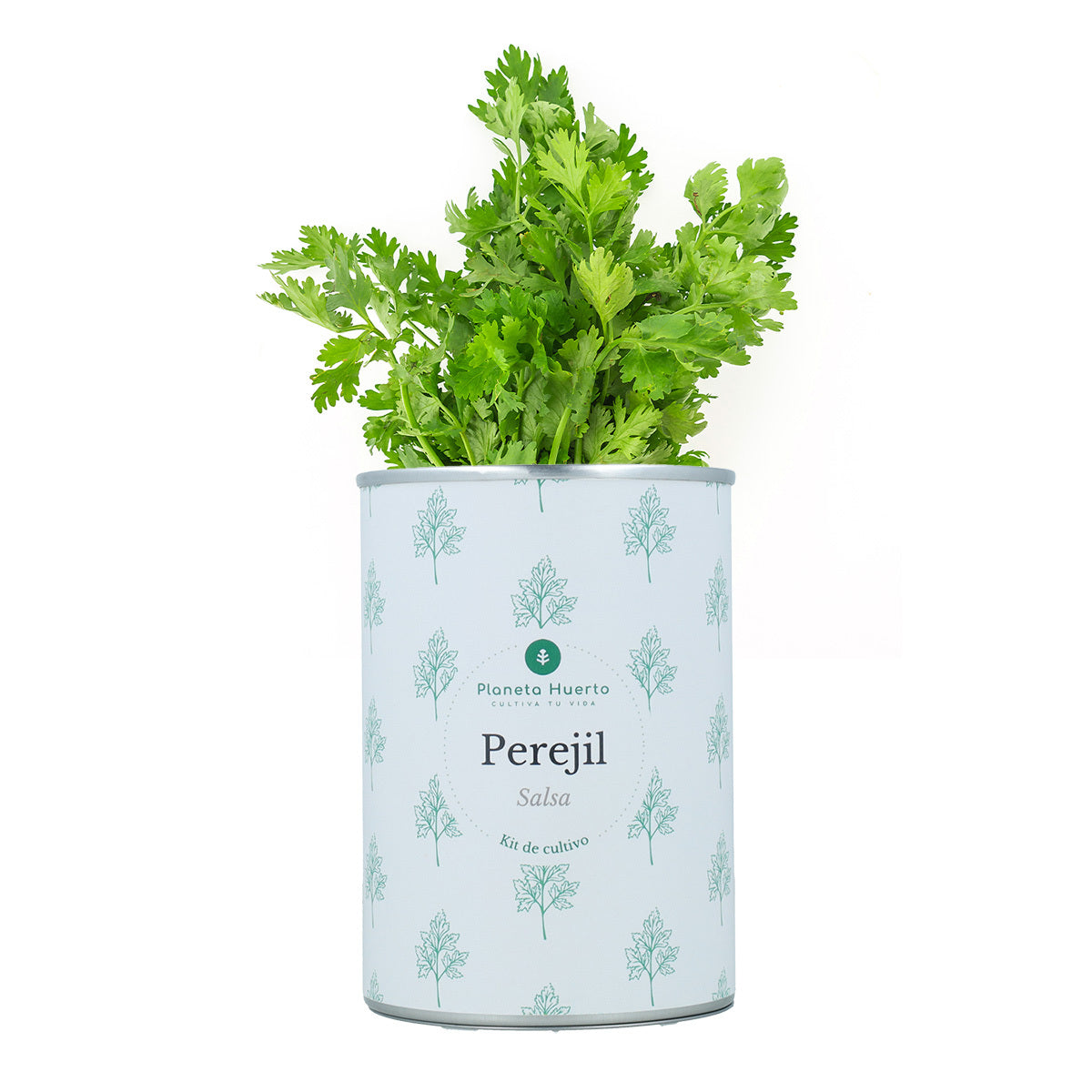 Aromatische kweeksets Kistpakket Planeta Huerto