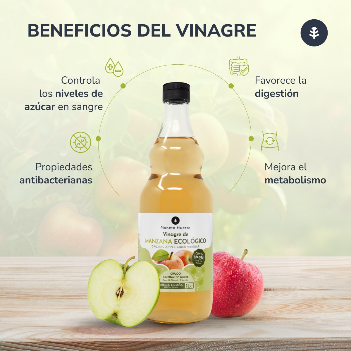 Pack 2x Vinagre de manzana ECO crudo sin filtrar con la madre Planeta Huerto 1L