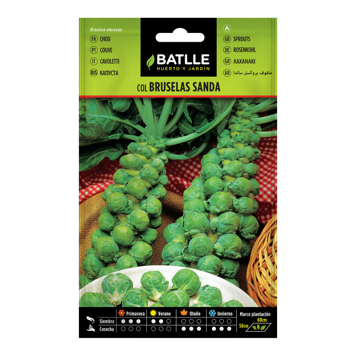 Rosenkohlsamen Sanda Batlle