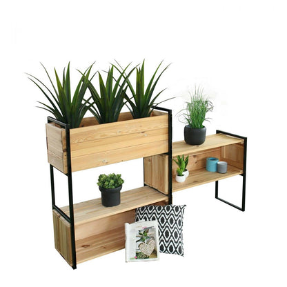 Fioriera Blakea a 3 scomparti