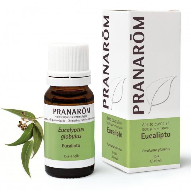 Olejek eteryczny Eucalyptus globulus Pranarom 10 ml