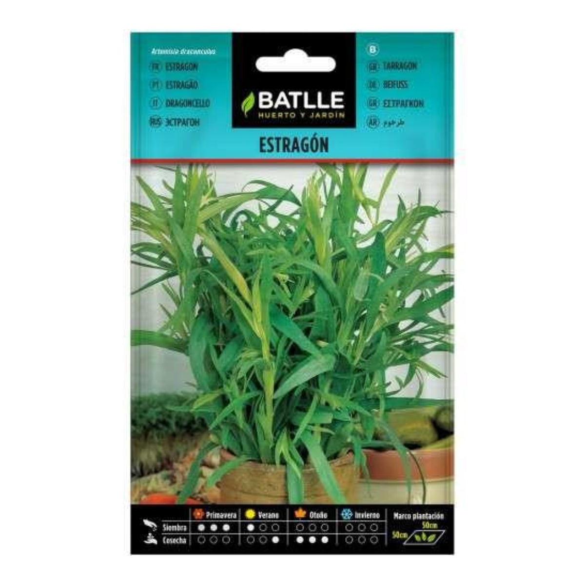 Tarragon Seeds Batlle