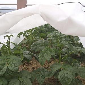 Anti-vorst kweektunnel 3 m Biotop