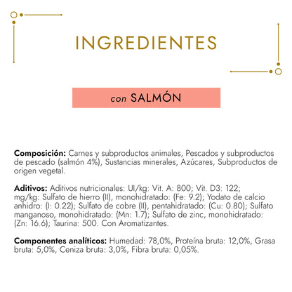 GOURMET GOLD Tarrina Comp Salmon Blötfoder 85 g
