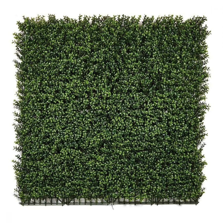 Jardin vertical artificiel Buxus Nortene 1x1 m
