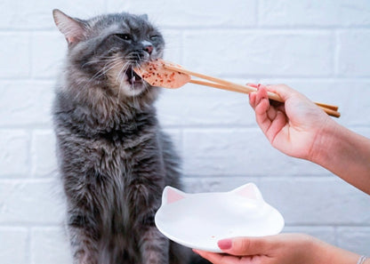 Kit Cat FilletFresh – Tonfisk och rökt fisk 30 g Naturligt snacks för katter