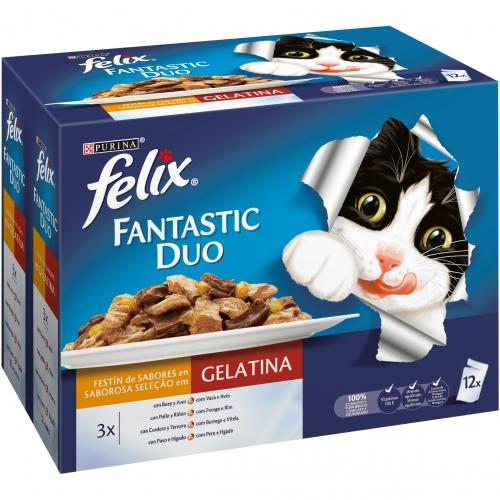 FELIX Duo Festín de Sabores in gelatina 12 x 85 g