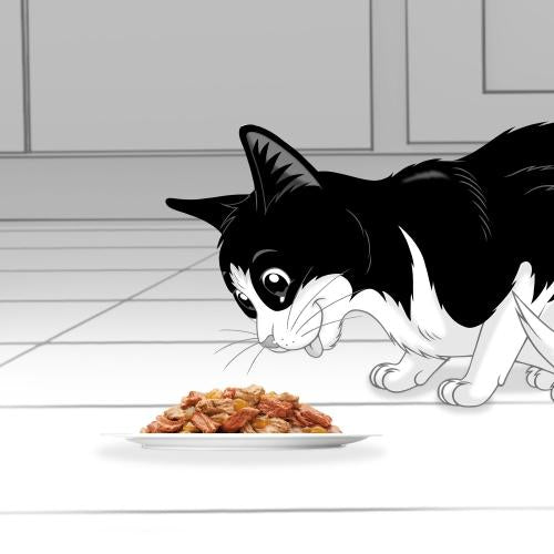 FELIX Fantastic Seafood Feast in Jelly 4 x 85 g