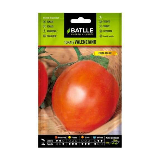 Graines de tomates Valenciano Batlle
