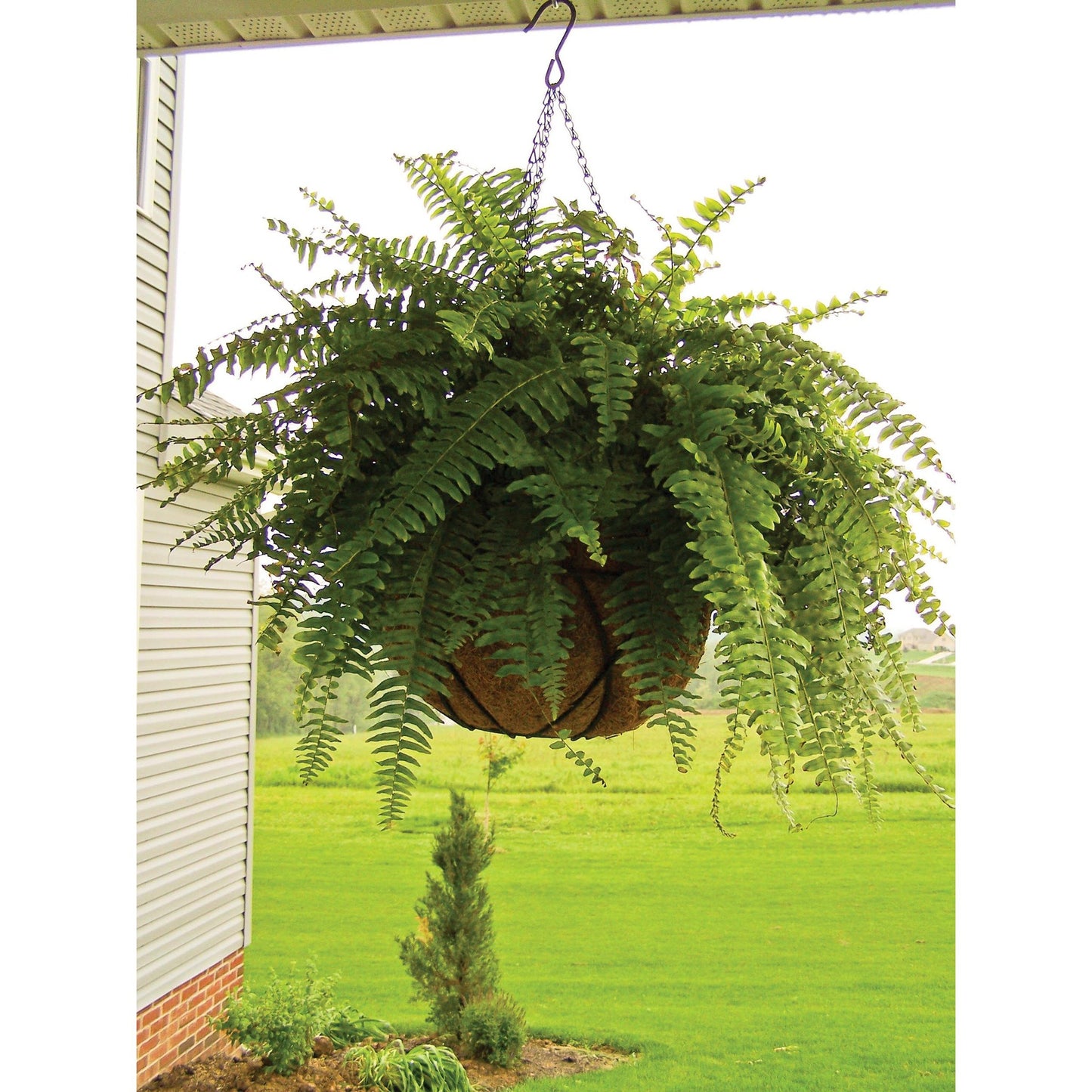 Runder Hängekorb Ø 40 cm