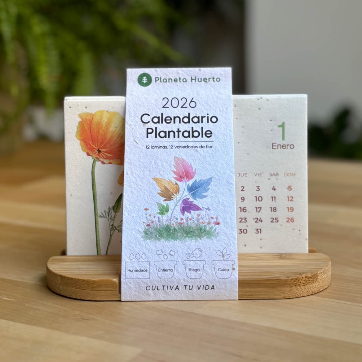 Plantable Calendar 2025 Planet Orchard Transform time into nature