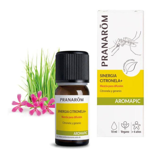 Synergie Citronella + Diffusion BIO Pranarôm 10 ml