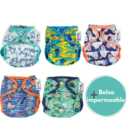 Pack 5 Pop-in Fermetures à crochets