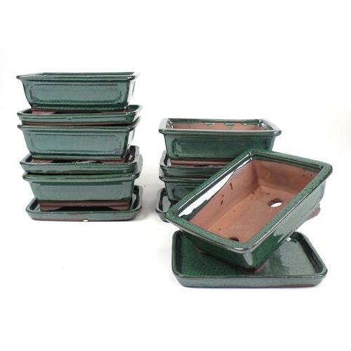 Rectangular bonsai pot 20 cm with green saucer